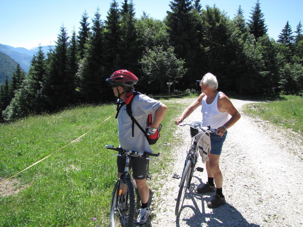 Pension Sydler Bad Goisern Dış mekan fotoğraf